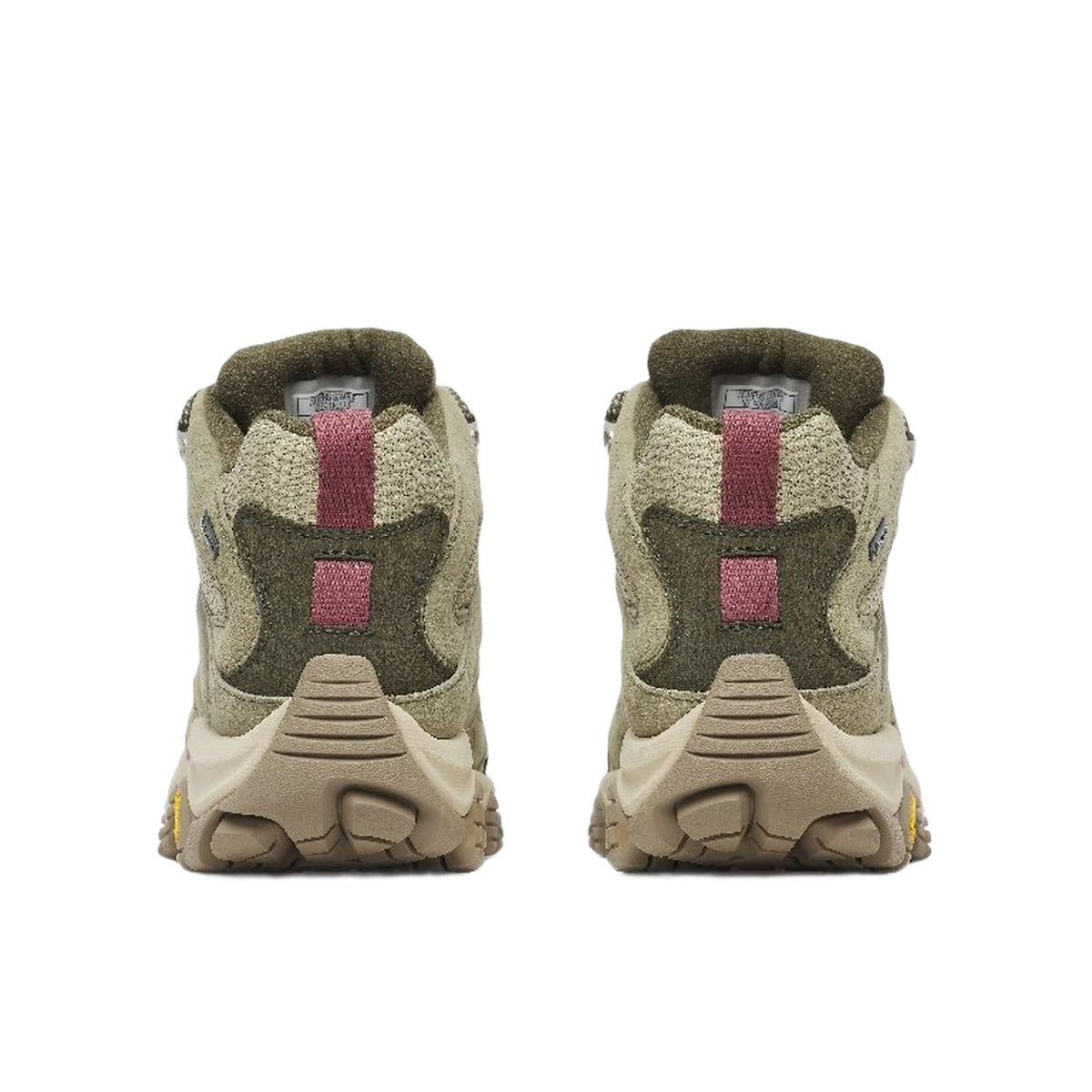 Kadın Moab 3 Mid Gtx Bot-3